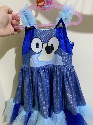 Vestido/Fantasia Bluey e Bingo 