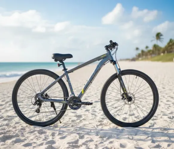 Bicicleta Oggi Hacker HDS 29