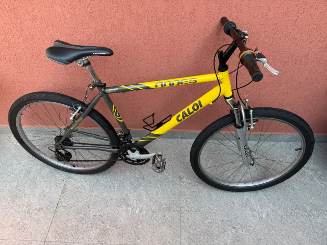 Bicicleta Caloi Andes