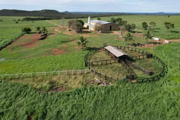 Fazenda à Venda em General Carneiro MT | 1.483 Hectares | Pecuária