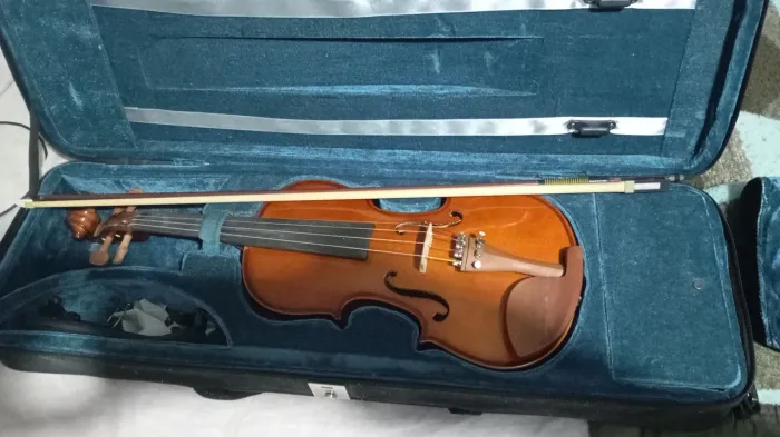 Violino eagle VE 441 4/4