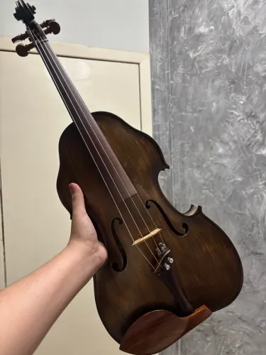 Viola clássica IIzuka