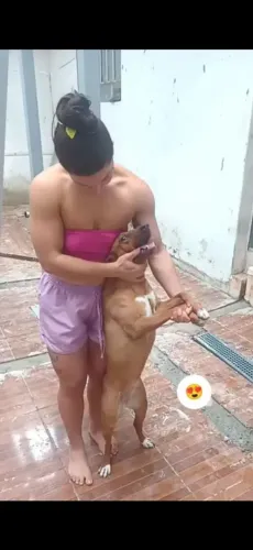 Olá pessoal estou doando essa cachorra fêmea