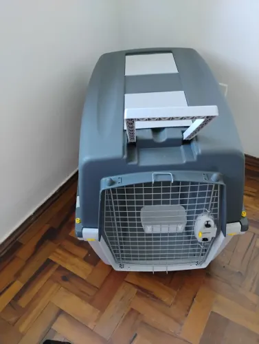 Oportunidade! Caixa Transporte Pet!!!