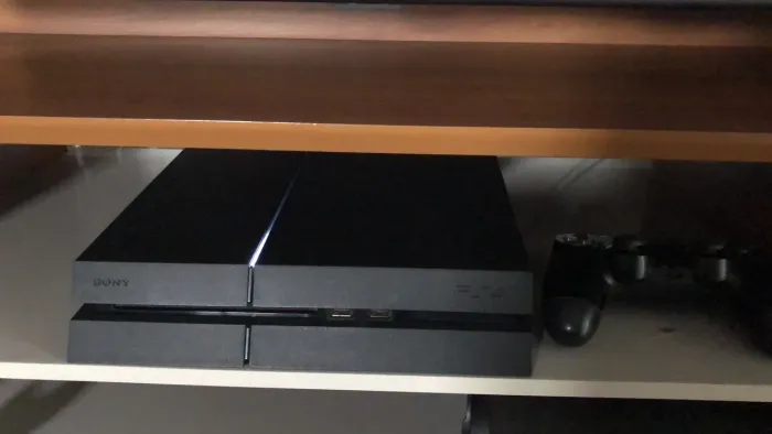 PS4 fat 