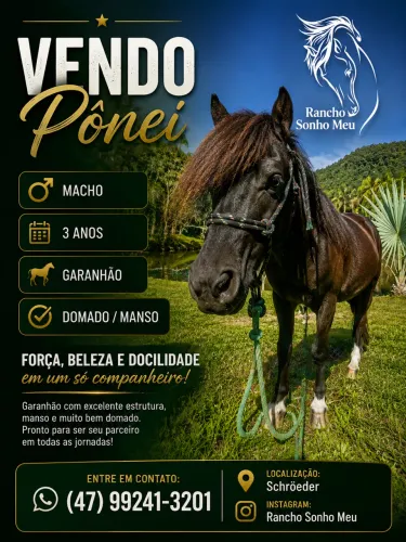 Pônei a venda