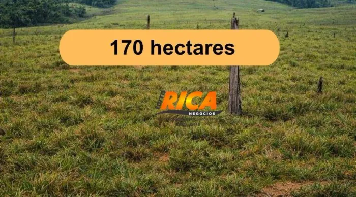 Fazenda à venda, 170 Hectares por R$ 2.000.000 - Apuí-/AM