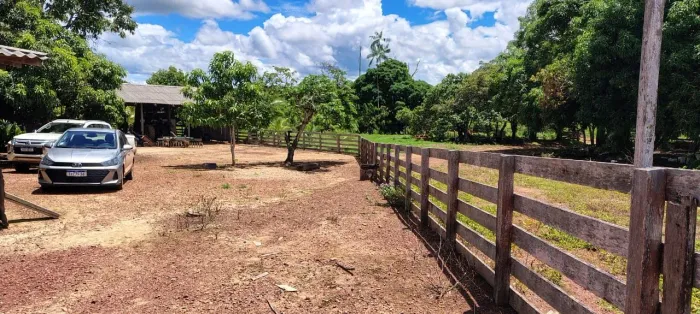Fazenda 302ha - Porteira Fechada - 110 Cabeças de Gado + Maquinário Completo