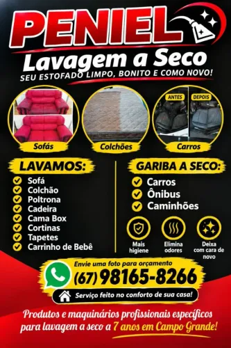Lavagem a seco