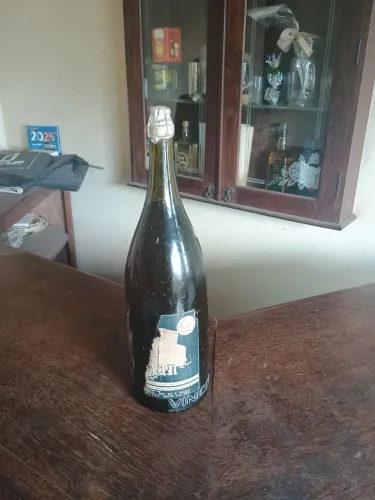 Champanhe do ano de 1981