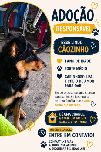Doação