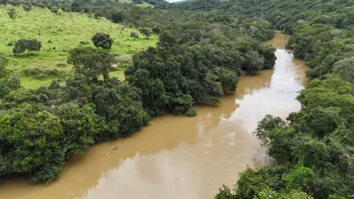 Fazenda em Orizona Goiás