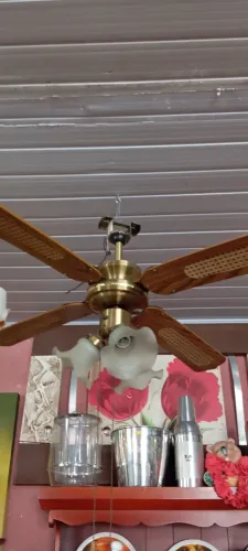 Ventilador de teto