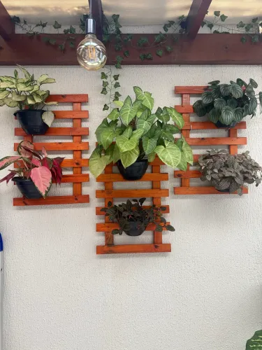 Painéis para Jardim Vertical e Decoração de Parede