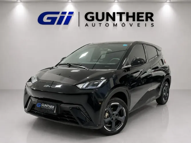 BYD Dolphin Mini (Elétrico) 2024