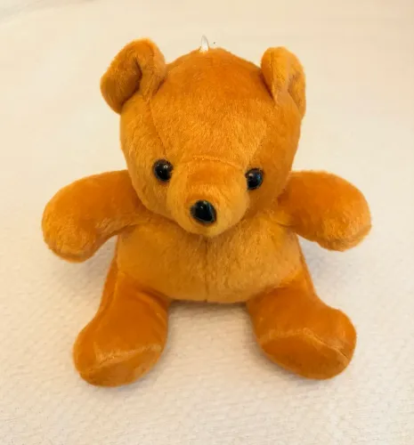 Ursinho de pelúcia com ventosa 