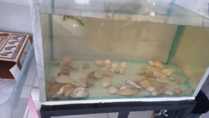 Aquario 27Litros
