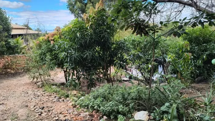 Vendo Chácara com 4.000 m² - Rio de Contas Chapada Diamantina (SMJo)