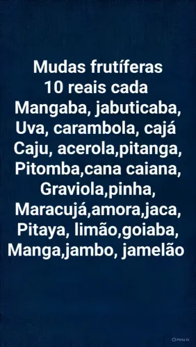 Mudas frutíferas 10 reais cada 