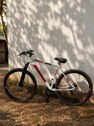 Bicicleta Aro 29