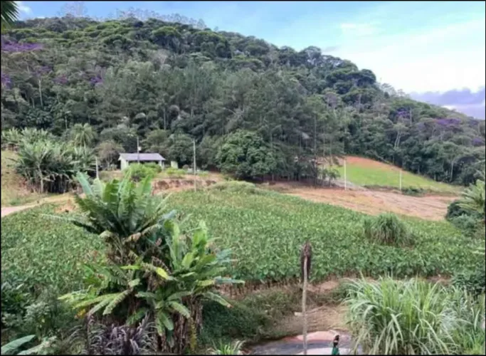 Sítio na Rota das Cerejeiras com nascente e riacho - Potencial para Chalés e Turismo