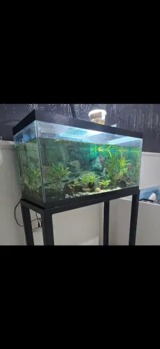 Aquário Completo 200L BARATO