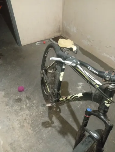 Bicicleta aro 29