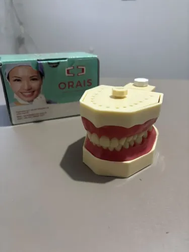 Manequim odontológico