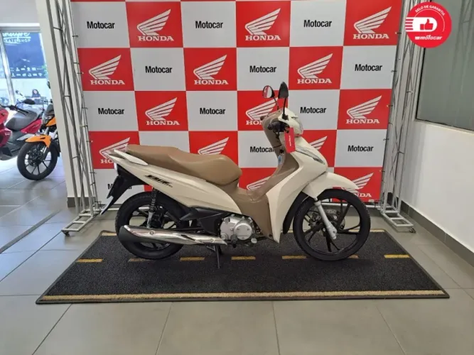 BIZ 125 2024/2024