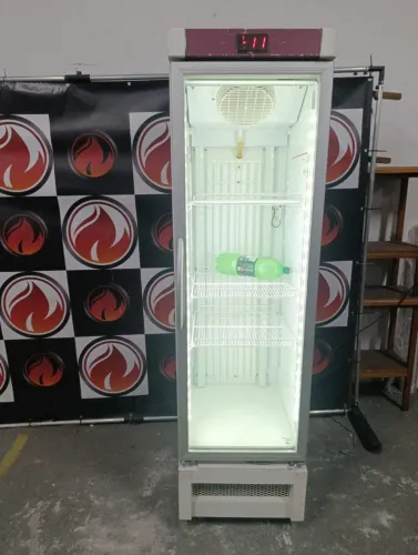 Freezer slin expositor 220 volts 317litros marca Metalfrio funcionando