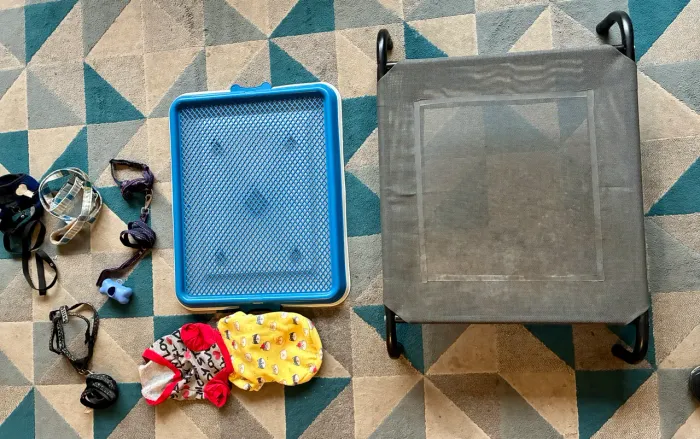 Kit completo para cachorro de pequeno porte