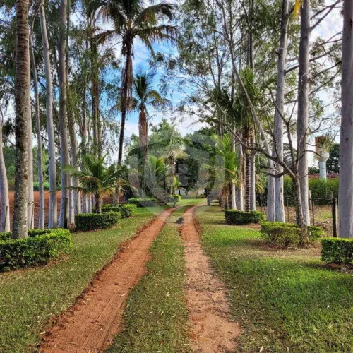Sítio à venda | Área Rural | Fernão-SP
