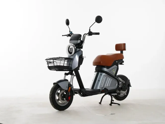Scooter WD-2 1000w
