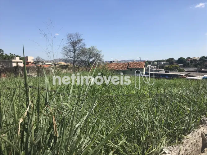 Venda Lote-Área-Terreno Heliópolis Belo Horizonte