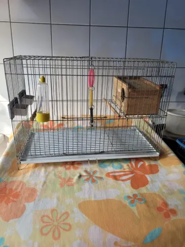 Gaiolas para Aves