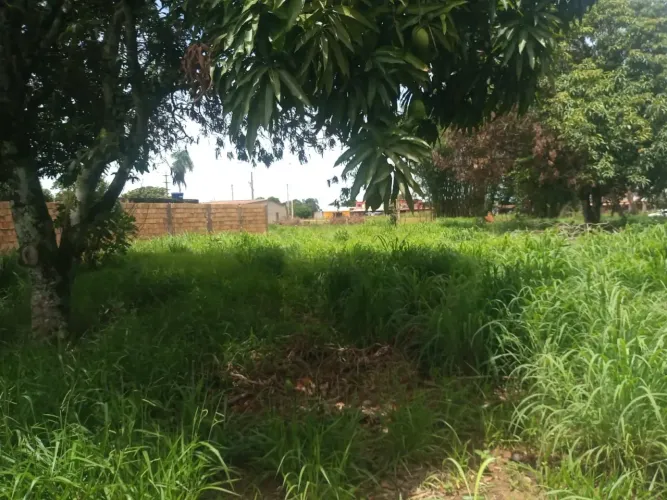 Lote no Café sem troco com 1000 metros, 260.000