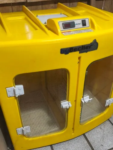 Máquina de secar pets