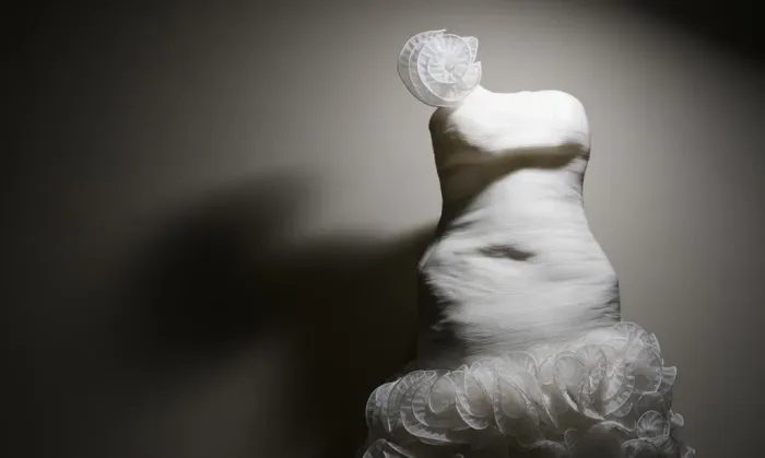 Vestido de Noiva