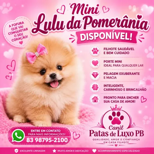 Animais de estimação