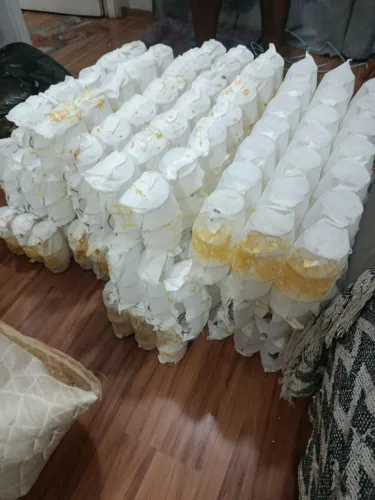 Ferro e molas ensacadas Doação 