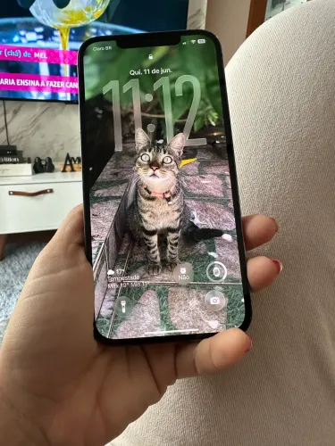 Vendo celular 12 pro Max , a câmera de cima trincou , nunca foi trocado nada
