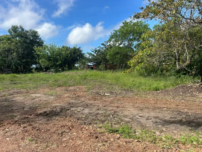 Vende-se um terreno 10,000