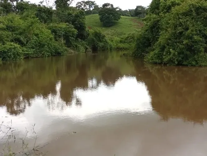 FAZENDA/CHÁC
