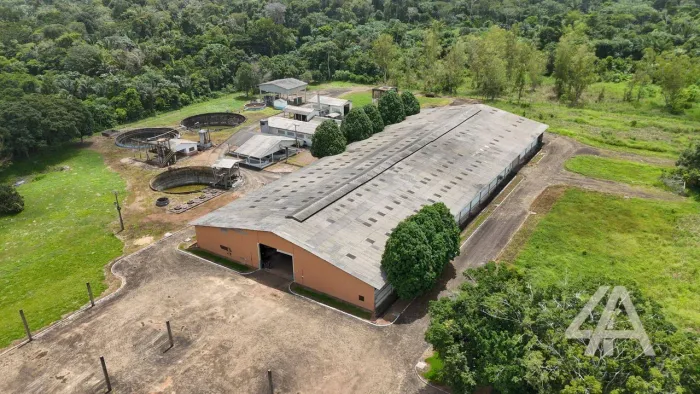 (Aluga-se) Galpão para alugar, 4082 m² por R$ 49.000/mês - Industrial - Porto Velho/RO