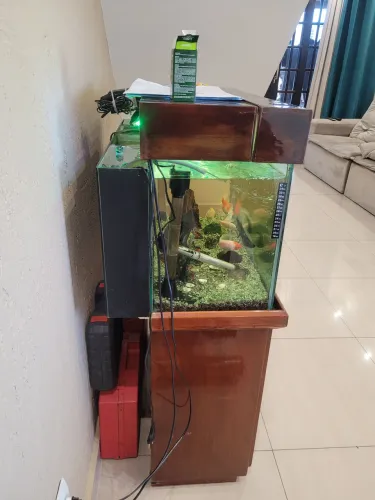 Vendo aquario em bom estado