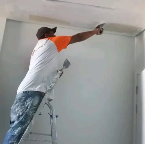 Pintor profissional baratinho toda zona sul leste oeste norte centro