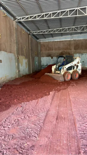 Bobcat disponível 