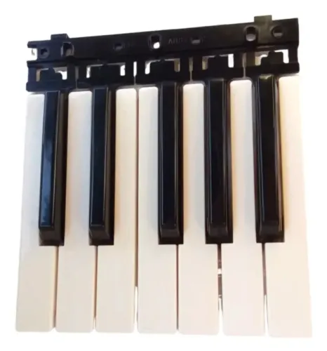 Conjunto de Teclas (oitava) Teclado Revas KB 330