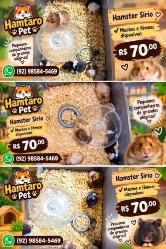 Hamster Sirio