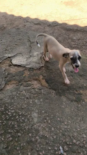 Doação